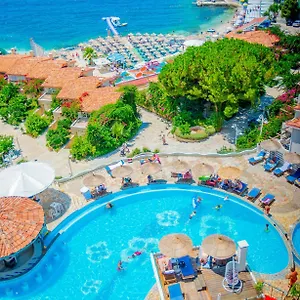 book here